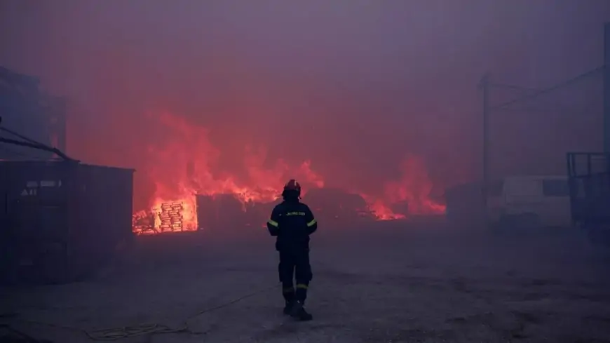Incendios en Grecia: un muerto y más de 50 mil evacuados