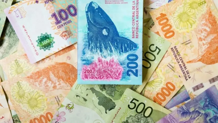 El ingreso disponible de las familias cayó 14,5% en un año